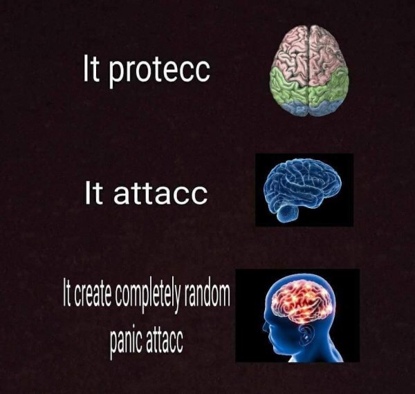panic attack dank meme - It protecc It attacc It create completely random panic attacc