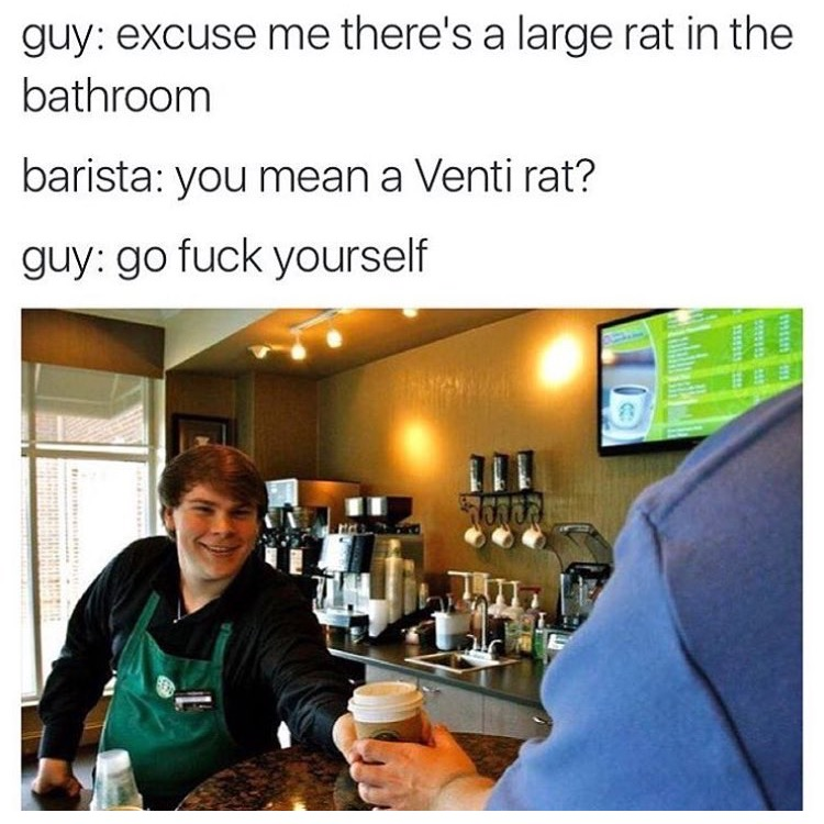 you mean a venti rat - guy excuse me there's a large rat in the bathroom barista you mean a Venti rat? guy go fuck yourself