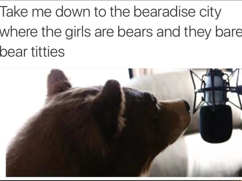 take me down to the bearadise city - Take me down to the bearadise city where the girls are bears and they bare bear titties