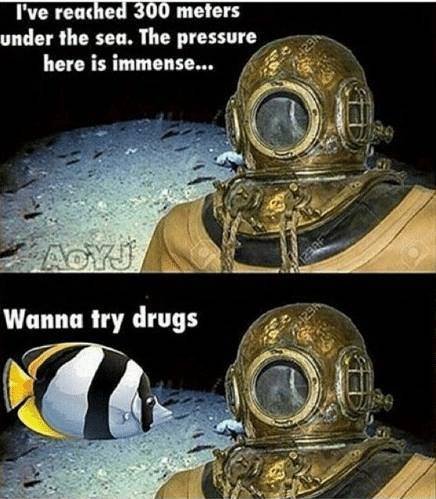 deep sea pressure meme - I've reached 300 meters under the sea. The pressure here is immense... Ned Wanna try drugs