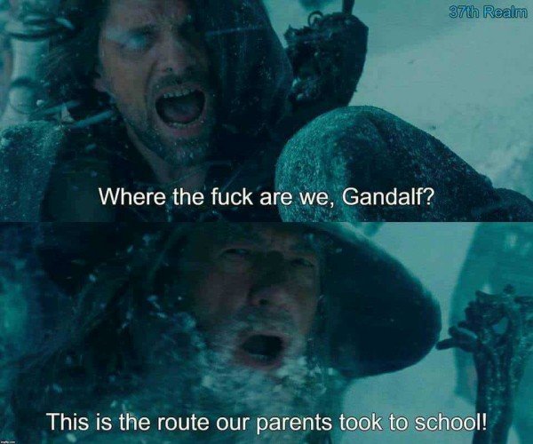 lord of the rings memes - 37th Realm Where the fuck are we, Gandalf? This is the route our parents took to school!