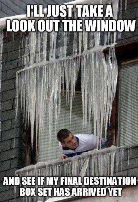 darwin awards - I'Ll Just Take A Look Out The Window And See If My Final Destination Box Set Has Arrived Yet