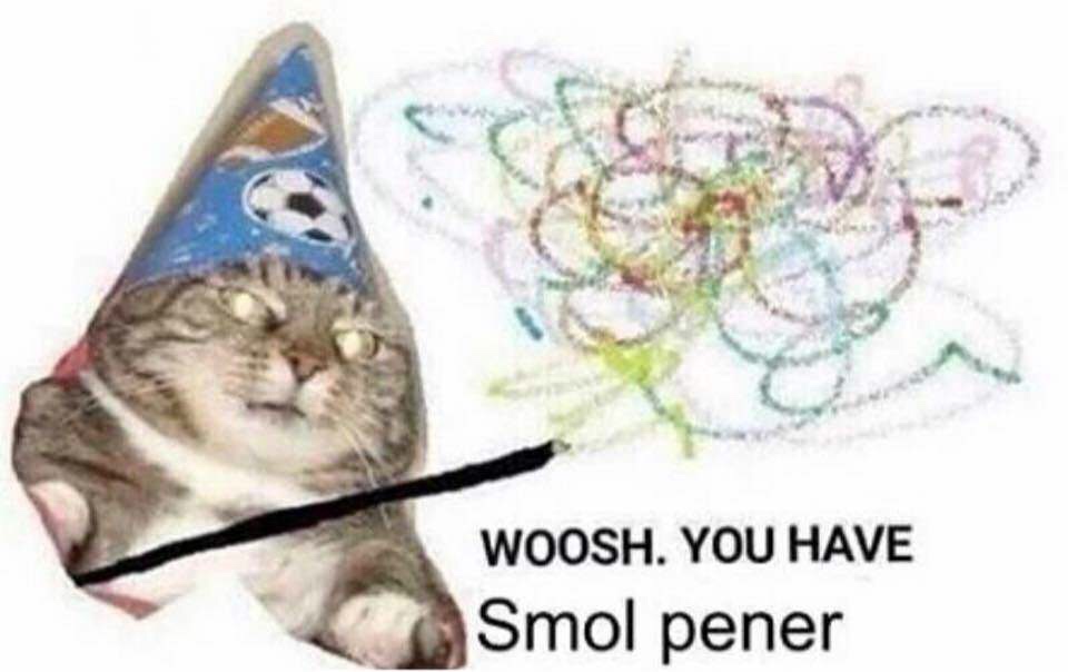 memes - woosh you have smol pener - Woosh. You Have Smol pener