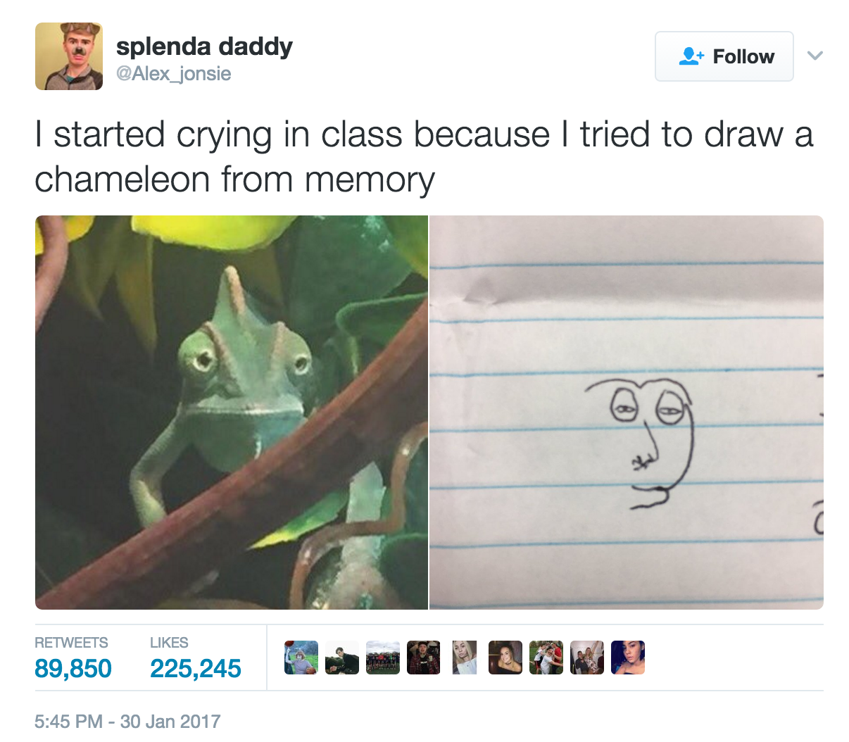 memes - tried to draw a chameleon from memory - splenda daddy Alex_jonsie I started crying in class because I tried to draw a chameleon from memory 89,850 225,245 D O Poon