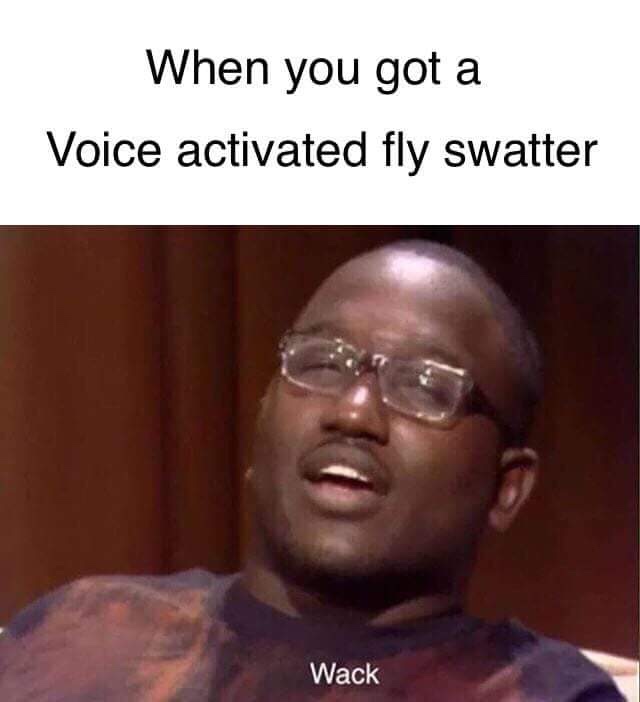 dungeon and dragons memes - When you got a Voice activated fly swatter Wack
