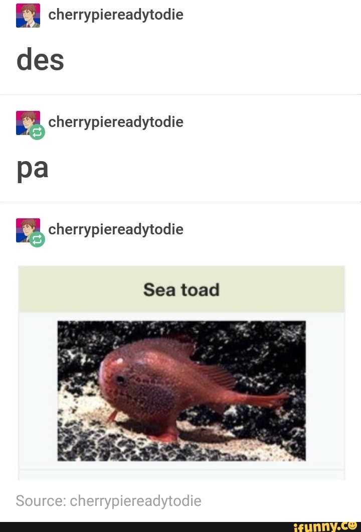 des pa sea toad - cherrypiereadytodie des cherrypiereadytodie pa cherrypiereadytodie Sea toad Source cherrypiereadytodie ifunny.co