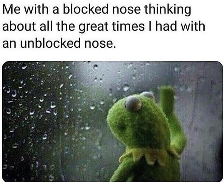 memes - me with a blocked nose meme - Me with a blocked nose thinking about all the great times I had with an unblocked nose.