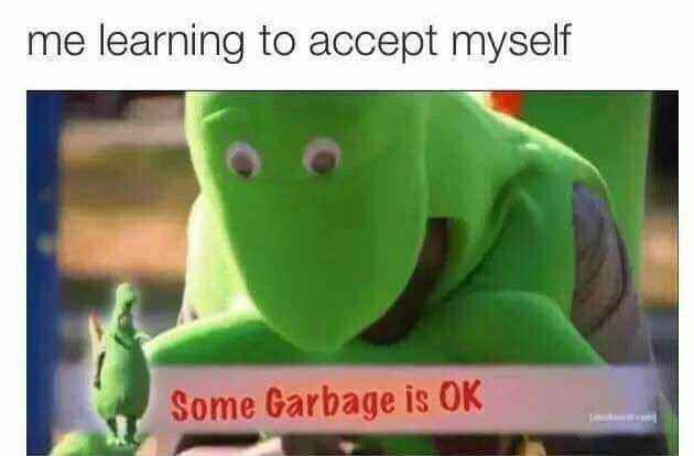 memes - garbage and memes - me learning to accept myself Some Garbage is Ok