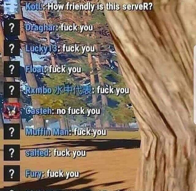 memes - friendly is this server - Koll How friendly is this server? V ? Draghar fuck you ? Luckyta fuck you A ? Float fuck you ? Rambo fuck you Casteh no fuck you Muffin Man.fuck you ? salted fuck you ? Fury fuck you