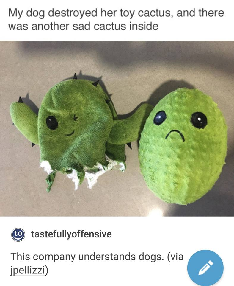 memes - dog toy with sad toy inside - My dog destroyed her toy cactus, and there was another sad cactus inside to tastefullyoffensive This company understands dogs. via jpellizzi
