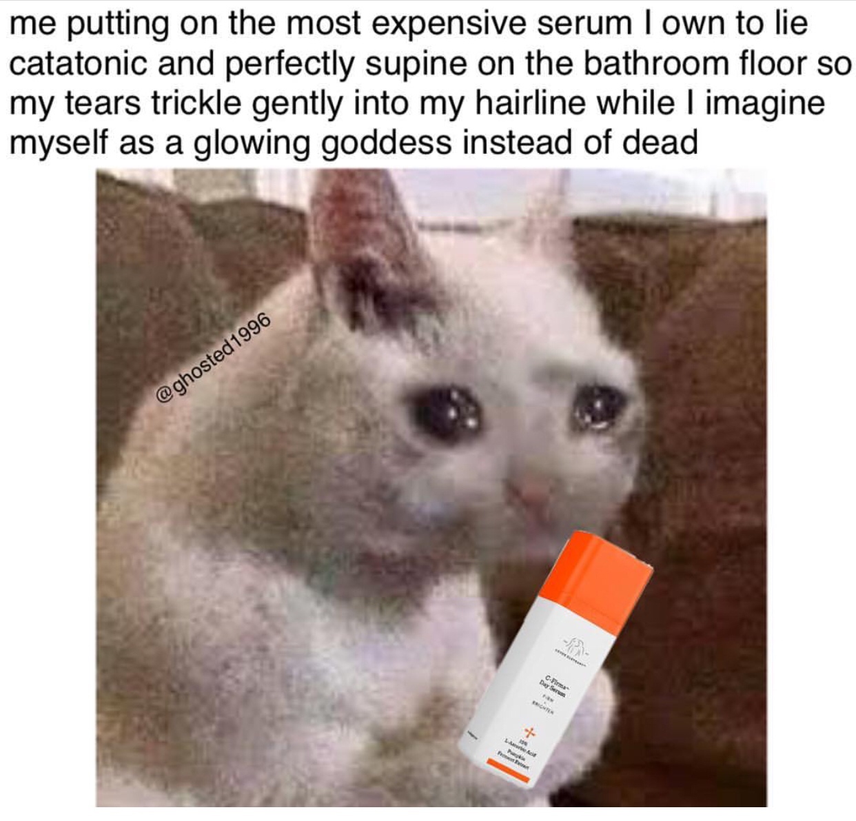 me putting on the most expensive serum I own to lie catatonic and perfectly supine on the bathroom floor so my tears trickle gently into my hairline while I imagine myself as a glowing goddess instead of dead 1996 C Firma Day Ser