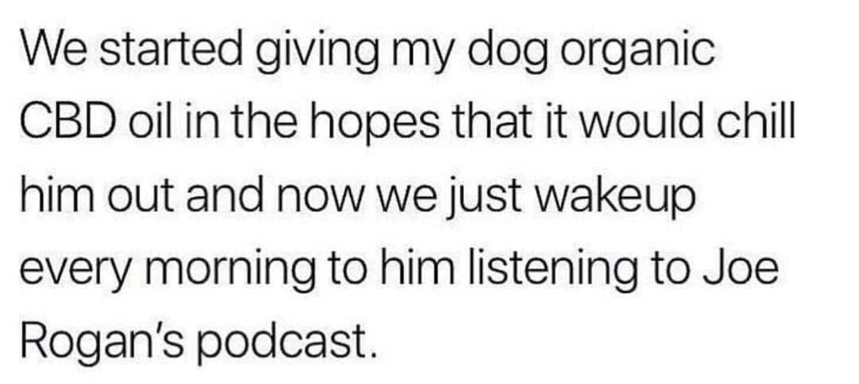 just wanted to let you know - We started giving my dog organic Cbd oil in the hopes that it would chill him out and now we just wakeup every morning to him listening to Joe Rogan's podcast