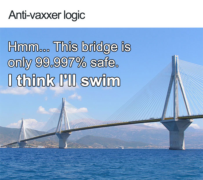 memes - anti vaxxer - Antivaxxer logic Hmm... This bridge is only 99.997% safe. I think I'll swim