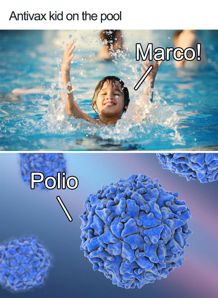 memes - anti vaxxer meme - Antivax kid on the pool Marco! Polio