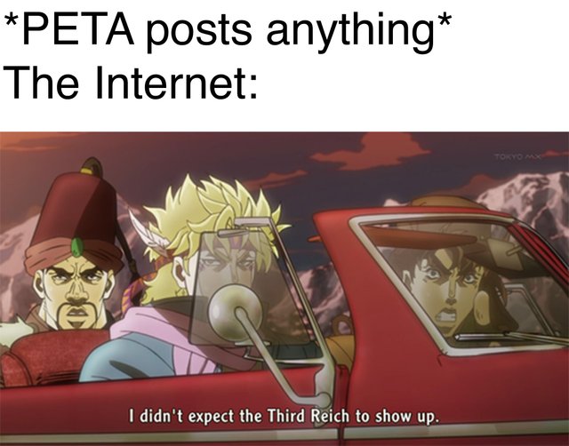 memes - didn t expect the third reich - Peta posts anything The Internet Tokyo Mk I didn't expect the Third Reich to show up.