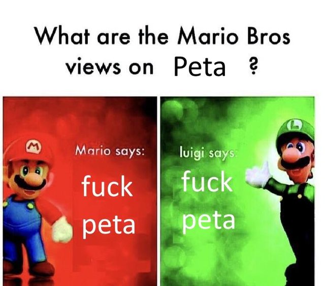 memes - lincolnshire one venues - What are the Mario Bros views on Peta ? Mario says luigi says fuck fuck peta peta