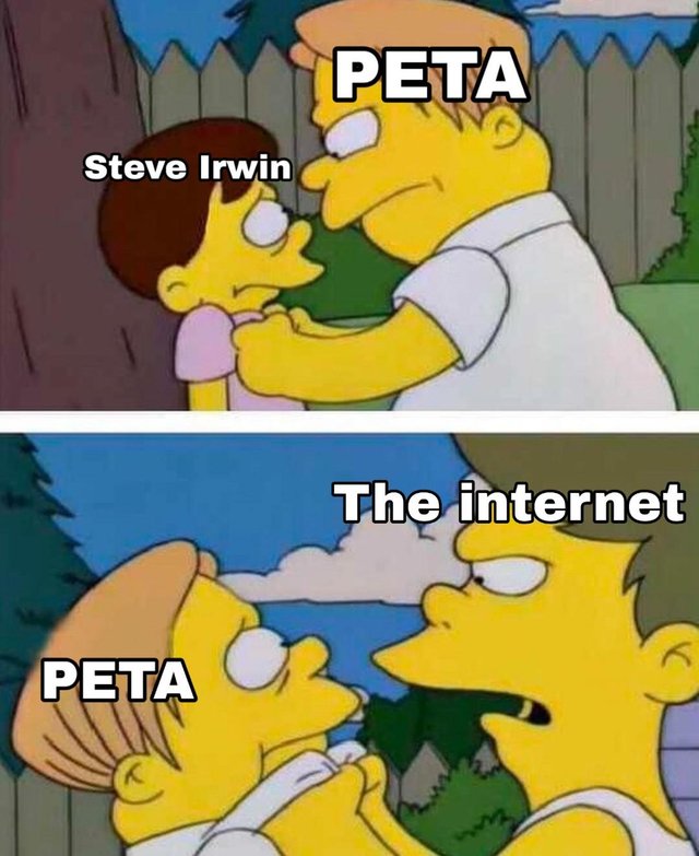 memes - steve irwin peta meme - Peta Peta Steve Irwin The internet