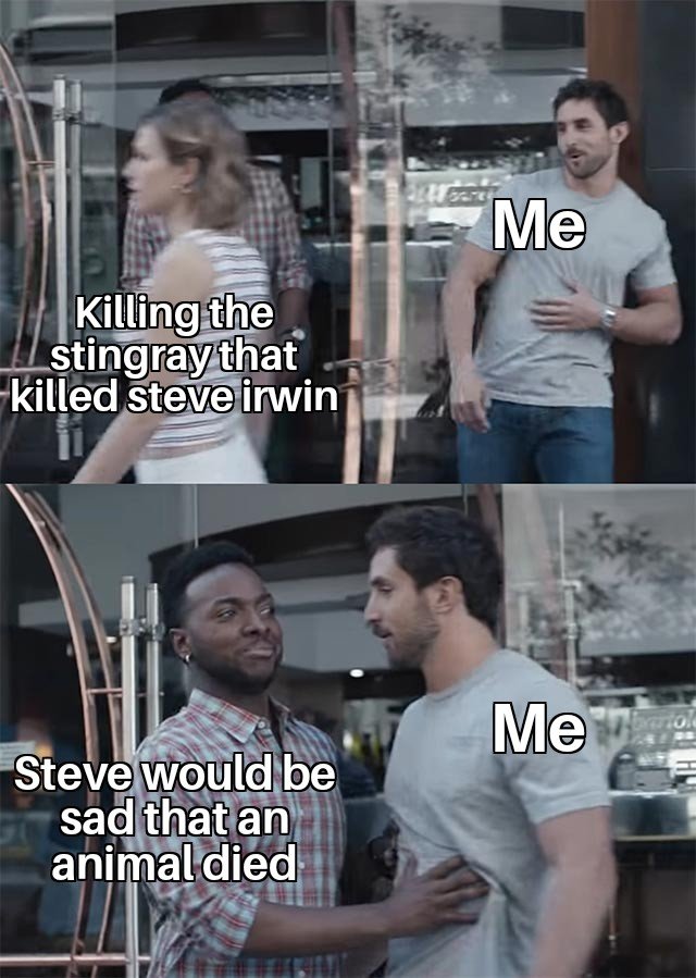 memes - slapping chicken to cook - Me Killing the stingray that killed steve irwin Me Steve would be sad that an animal died