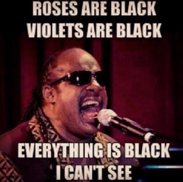 stevie wonder blind meme - Roses Are Black Violets Are Black Everything Is Black Tcan'T See