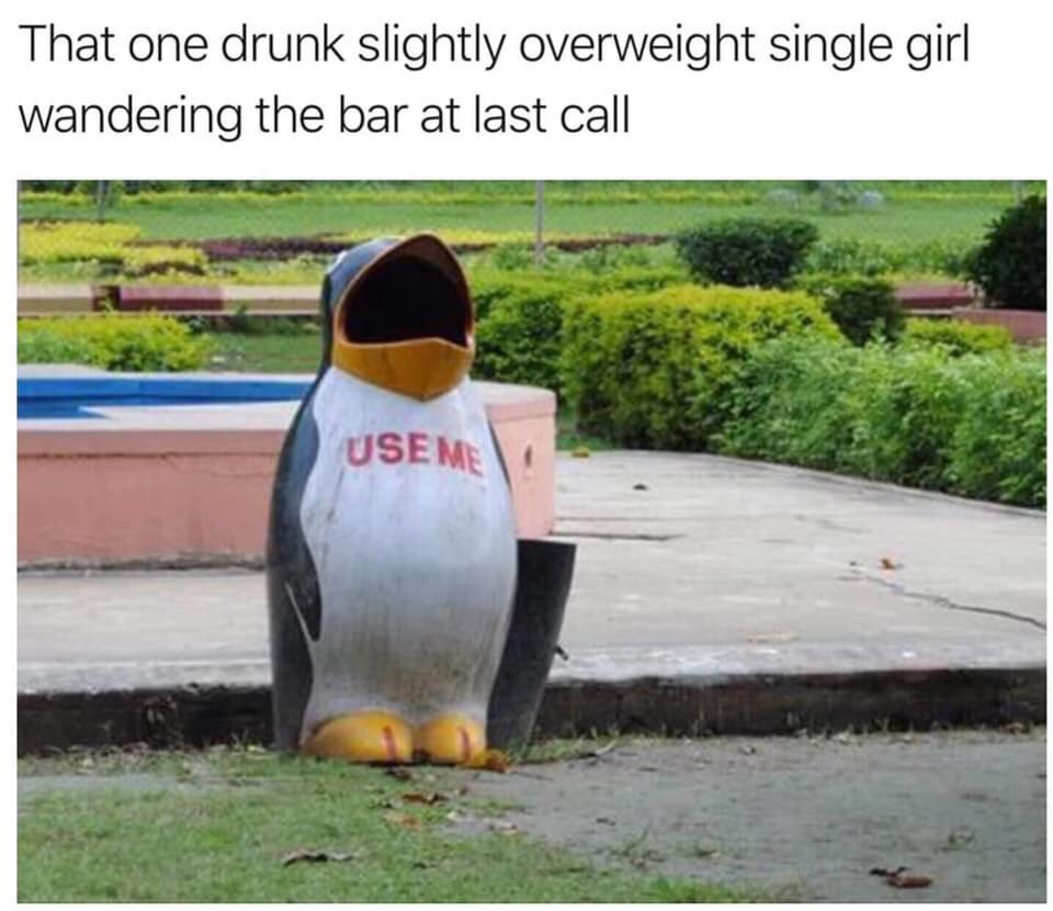 single girl meme - That one drunk slightly overweight single girl wandering the bar at last call Useme