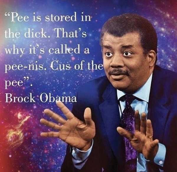 neil degrasse tyson - Pee is stored in the dick. That's why it's called a peenis. Cus of the pee Brock Obama