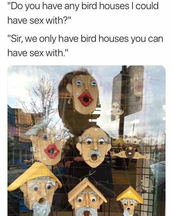 do you have any bird houses i could have sex with - "Do you have any bird houses I could have sex with?" "Sir, we only have bird houses you can have sex with."