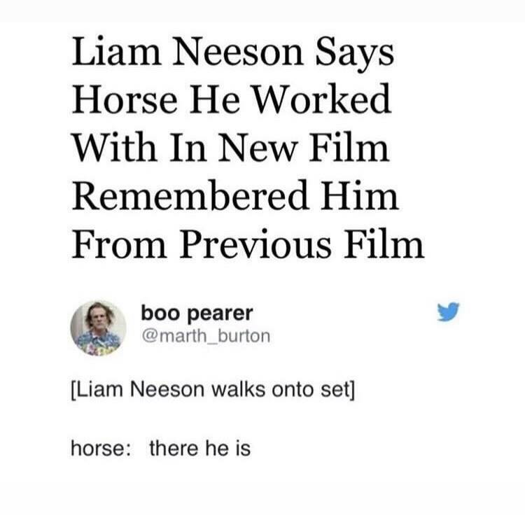 document - Liam Neeson Says Horse He Worked With In New Film Remembered Him From Previous Film boo pearer Liam Neeson walks onto set horse there he is