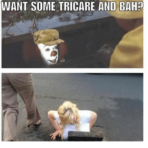 memes - dependapotamus memes - Want Some Tricare And Bah?