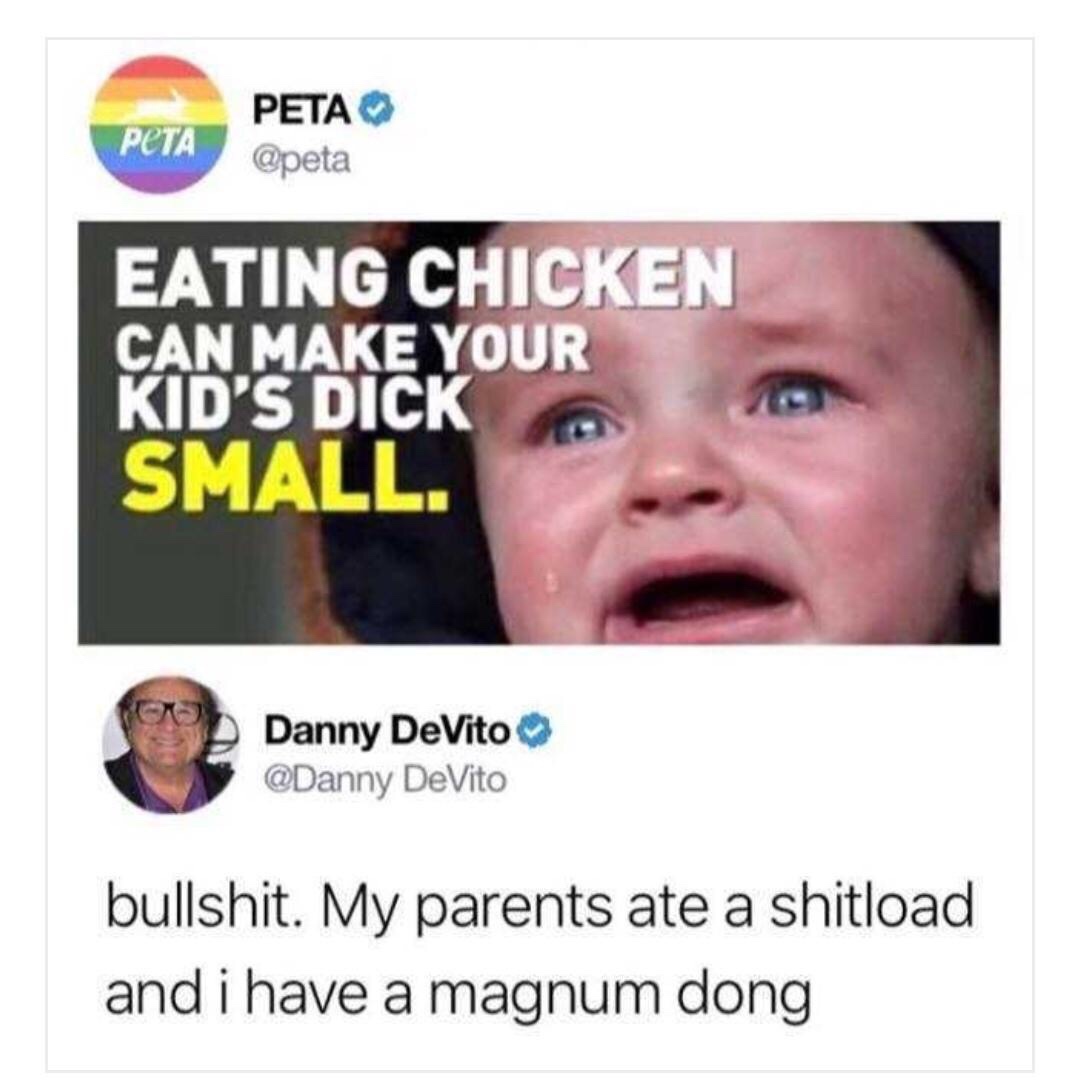 meme - danny devito peta - Peta Eating Chicken Can Make Your Kid'S Dick Small. Danny DeVito DeVito bullshit. My parents ate a shitload and i have a magnum dong