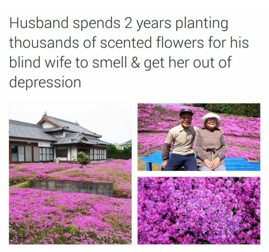 wholesome meme husband spends 2 years planting flowers - Husband spends 2 years planting thousands of scented flowers for his blind wife to smell & get her out of depression