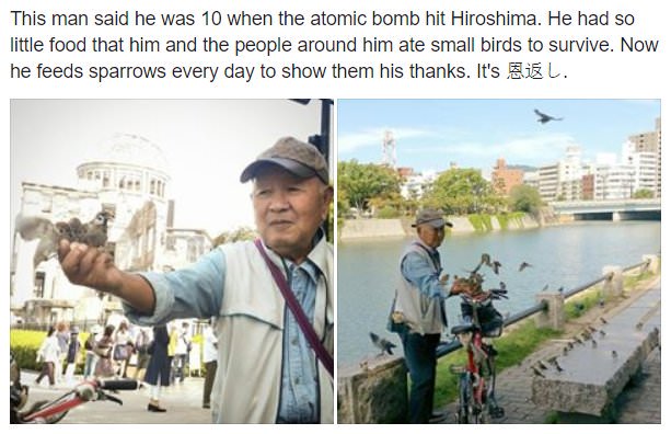 wholesome meme man feeding birds hiroshima - This man said he was 10 when the atomic bomb hit Hiroshima. He had so little food that him and the people around him ate small birds to survive. Now he feeds sparrows every day to show them his thanks. It's & L