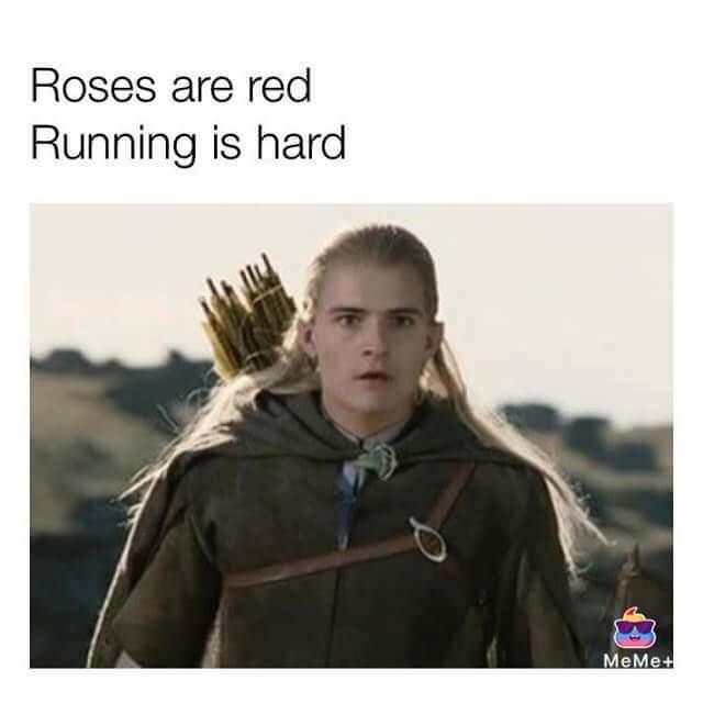 meme theyre taking the hobbits to isengard - Roses are red Running is hard MeMe