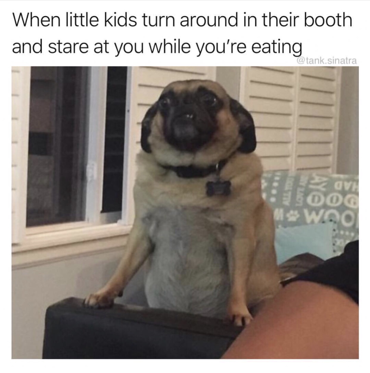 meme little kid stares at you - When little kids turn around in their booth and stare at you while you're eating .sinatra O Dog wod