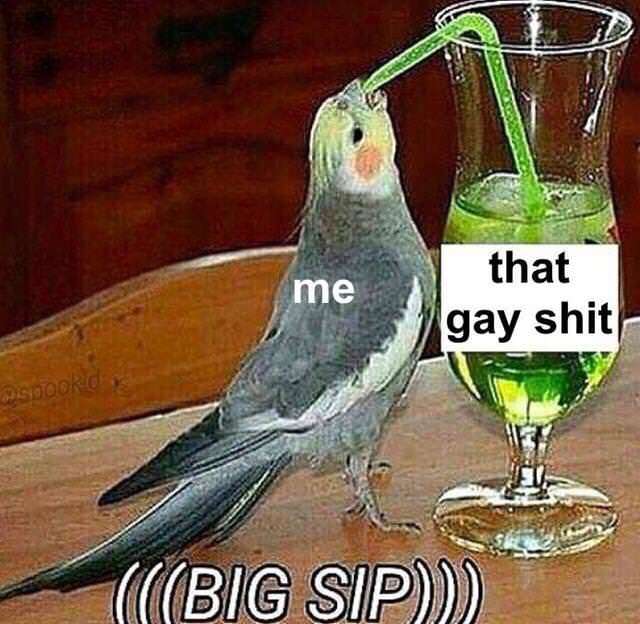 meme big sip meme - me that gay shit Big Sip