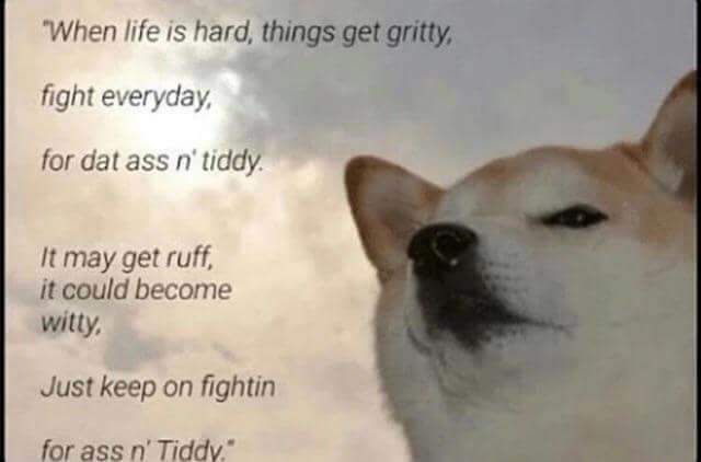 meme dat ass n tiddy - "When life is hard, things get gritty, fight everyday, for dat ass n' tiddy It may get ruff, it could become witty, Just keep on fightin for ass n' Tiddy