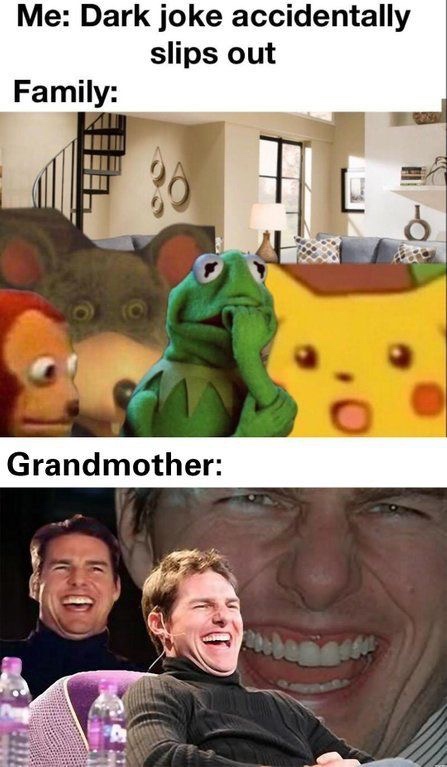 dark joke slips out meme - Me Dark joke accidentally slips out Family Grandmother