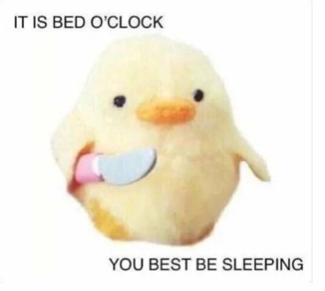 its bed o clock you best be sleeping - It Is Bed O'Clock You Best Be Sleeping
