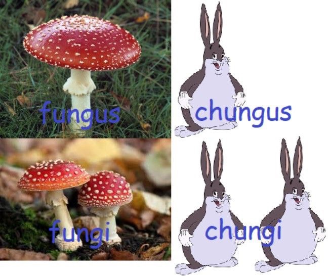 big fungus meme