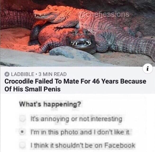 i m in this photo and i don t like it - seaefjessions Ladbible 3 Min Read Crocodile Failed To Mate For 46 Years Because Of His Small Penis What's happening? It's annoying or not interesting I'm in this photo and I don't it I think it shouldn't be on Faceb