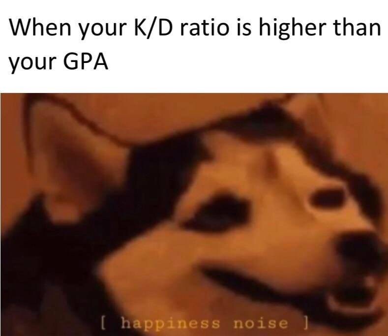 finally my time to shine meme - When your KD ratio is higher than your Gpa I happiness noise