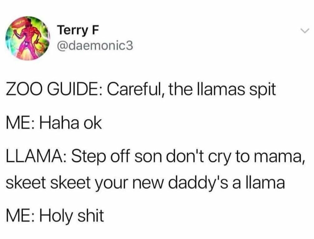 Terry F Zoo Guide Careful, the llamas spit Me Haha ok Llama Step off son don't cry to mama, skeet skeet your new daddy's a llama Me Holy shit