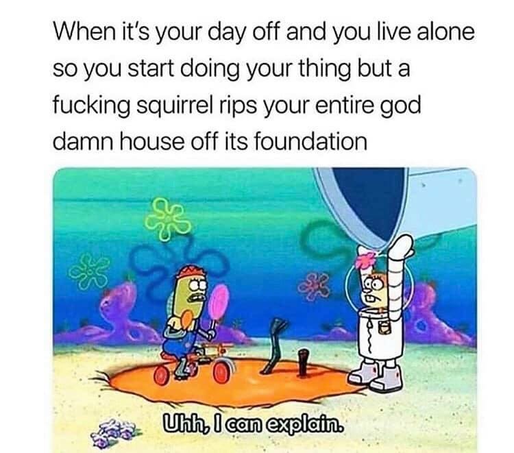 uhh i can explain spongebob - When it's your day off and you live alone so you start doing your thing but a fucking squirrel rips your entire god damn house off its foundation ebiton Uhh, I can explain