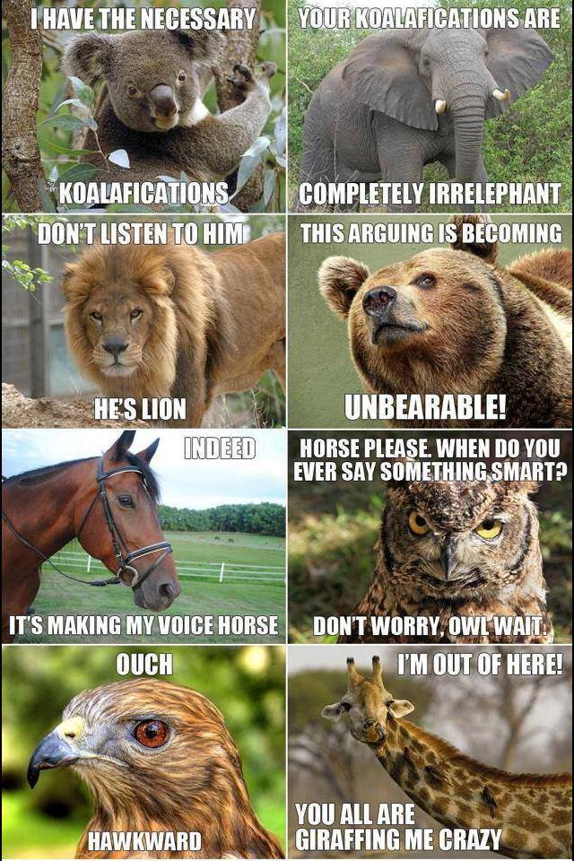zoology funny quotes - I Have The Necessary Your Koalafications Are Koalafications Don'T Listen To Him Completely Irrelephant This Arguing Is Becoming He'S Lion Indeed Unbearable! Horse Please When Do You Ever Say Something Smart? It'S Making My Voice Hor