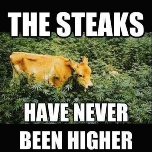 best puns - The Steaks Have Never Been Higher