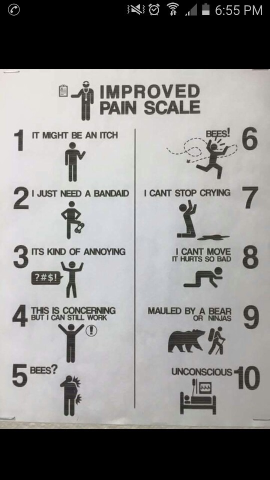 improved pain scale - No Improved Pain Scale It Might Be An Itch Bees! I Just Need A Bandaid I Cant Stop Crying Its Kind Of Annoying I Cant Move It Hurts So Bad 0 ?#$! This Is Concerning But I Can Still Work Mauled By A Bear Or Ninjas 20 Bees? Unconscious