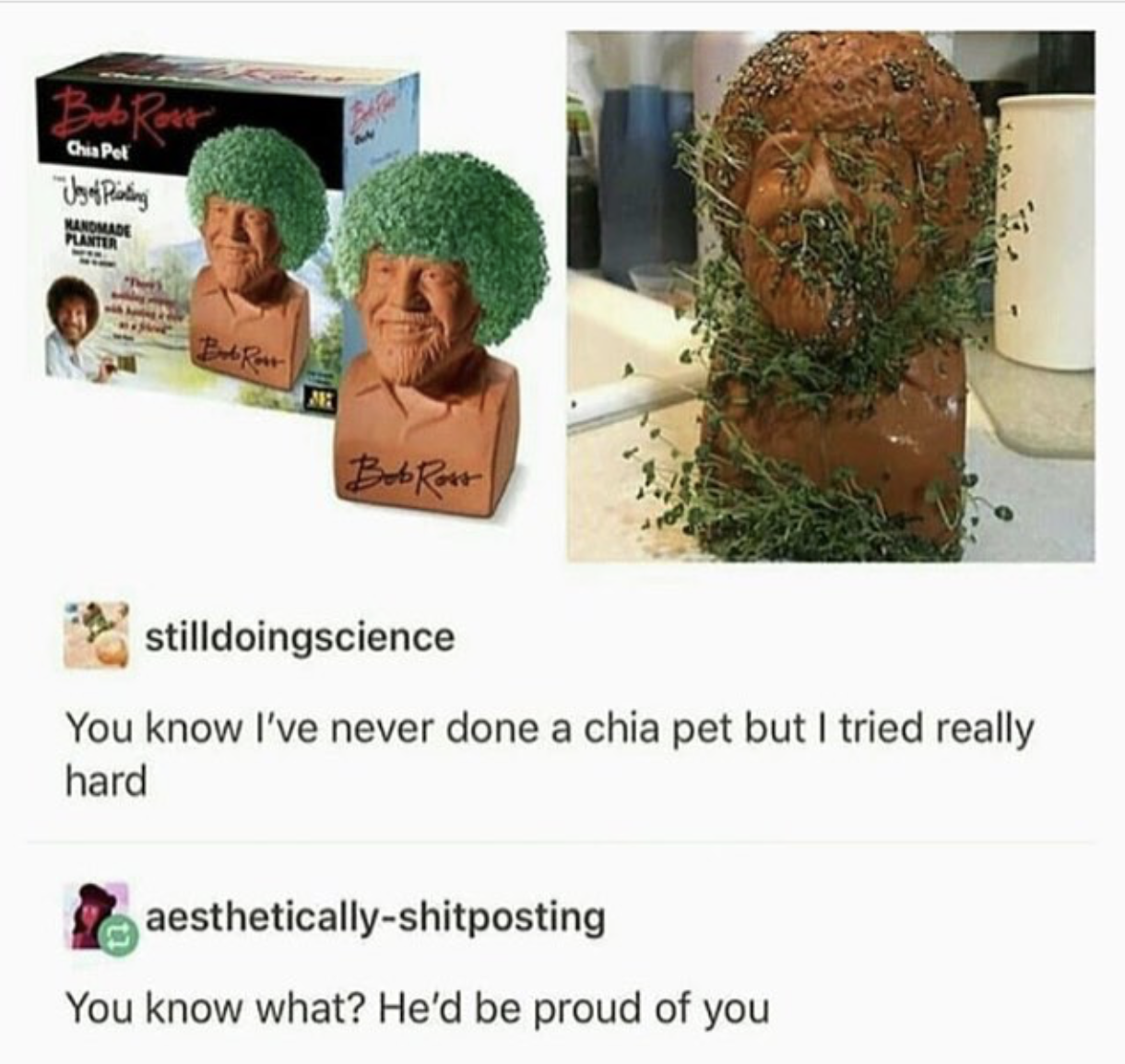 chia bob ross - Opi Uso Pinting Planter Bob Rost stilldoingscience You know I've never done a chia pet but I tried really hard aestheticallyshitposting You know what? He'd be proud of you