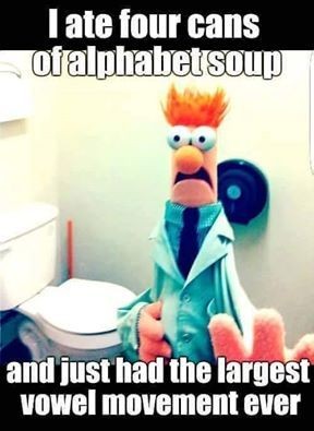 ate four cans of alphabet soup - I ate four cans of alphabet soup and just had the largest vowel movement ever
