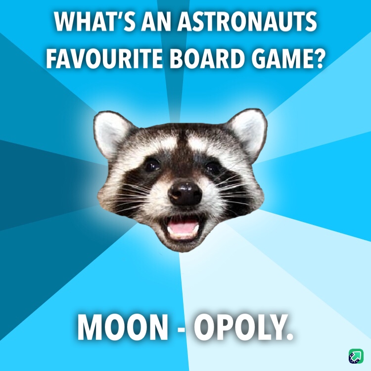 lame pun coon - What'S An Astronauts Favourite Board Game? Moon Opoly