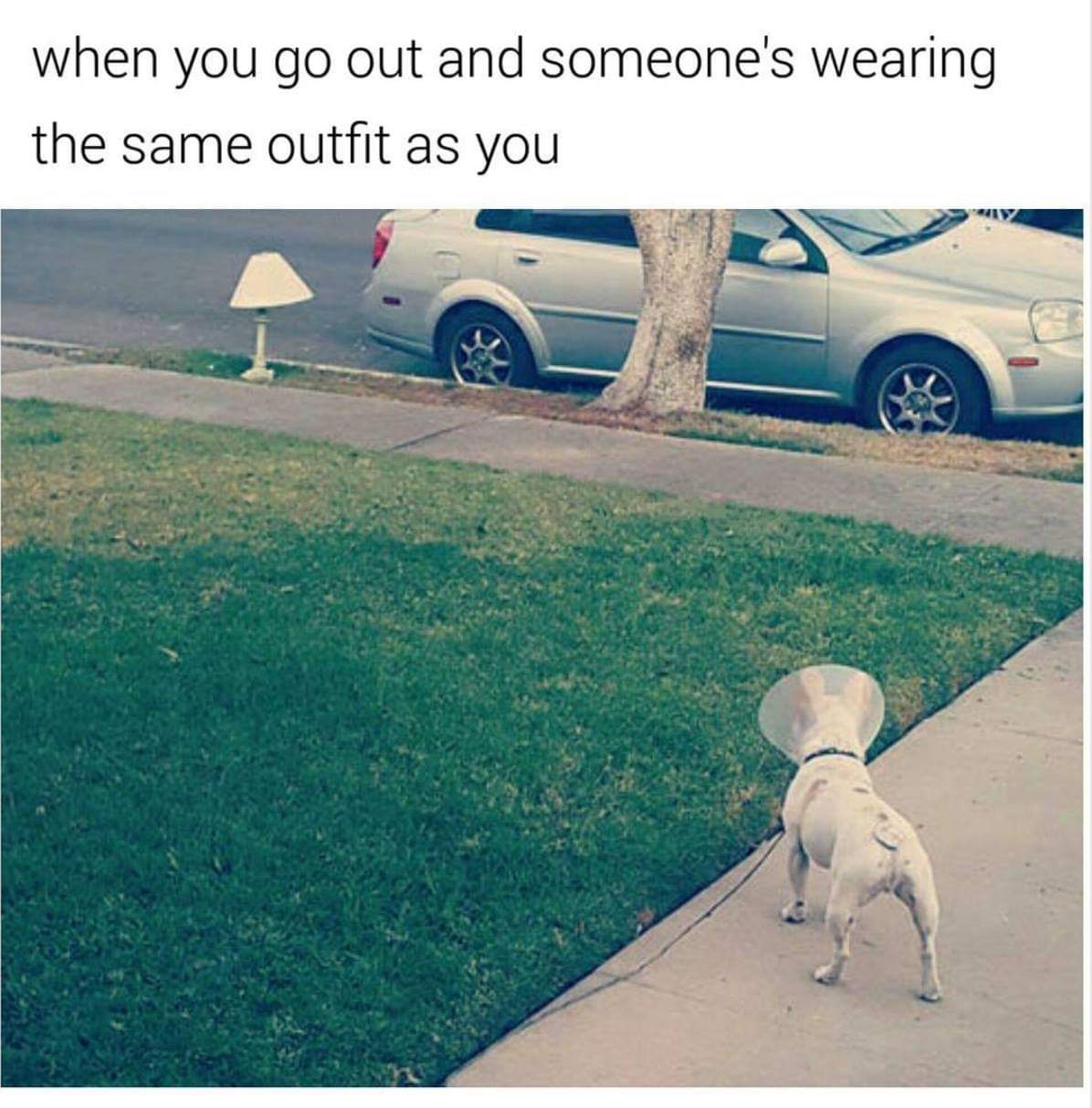 love at first sight dog - when you go out and someone's wearing the same outfit as you