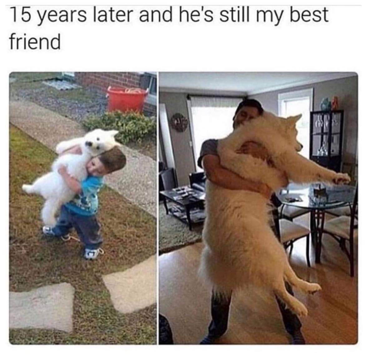 Meme - 15 years later and he's still my best friend